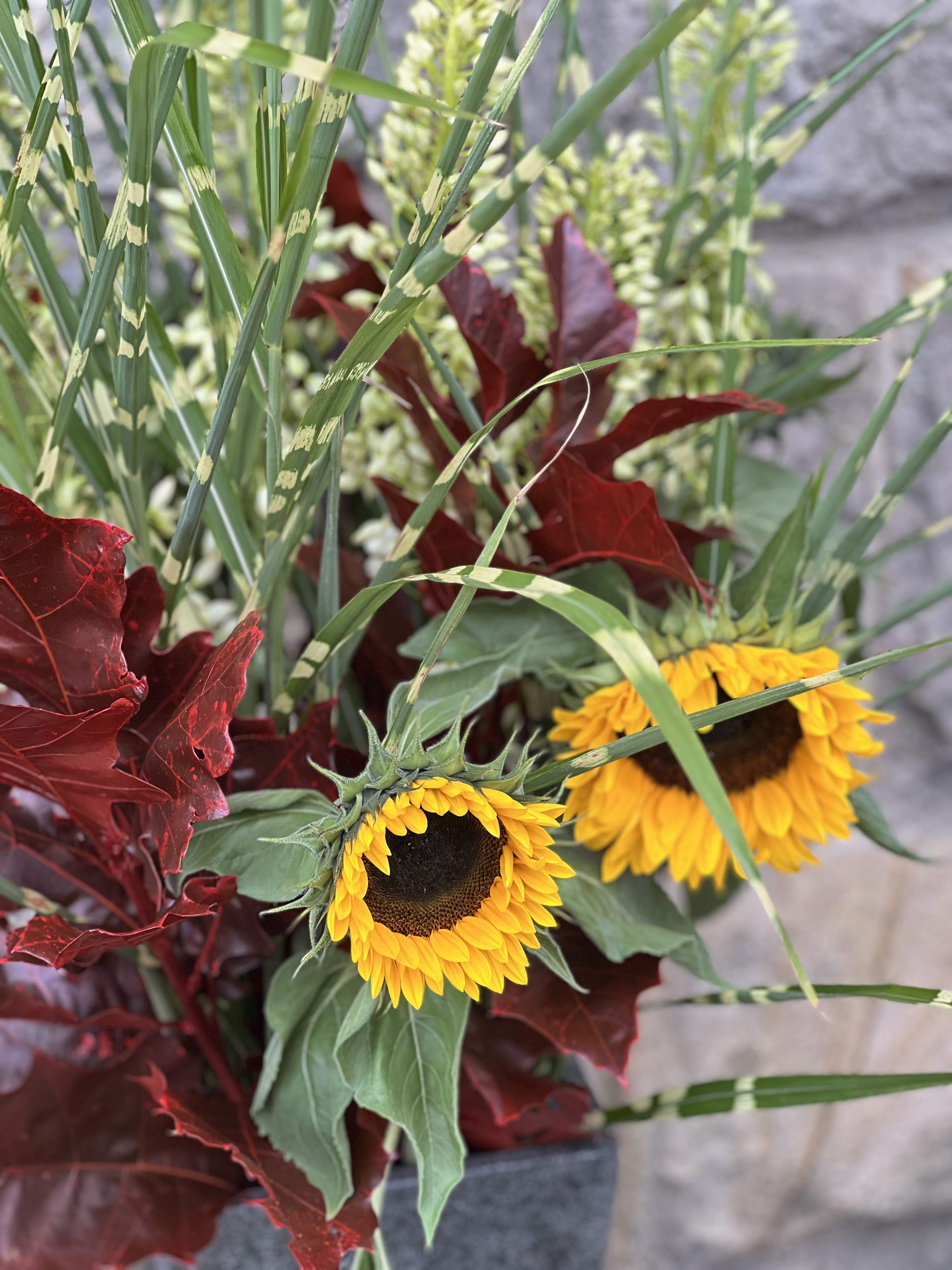 Rückblick Familienfest und Sommerserenade